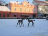 blansko04.jpg