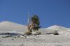 SierraNevada2006_133.jpg