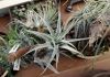 T._albida_07.jpg