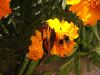 img_6848.jpg
